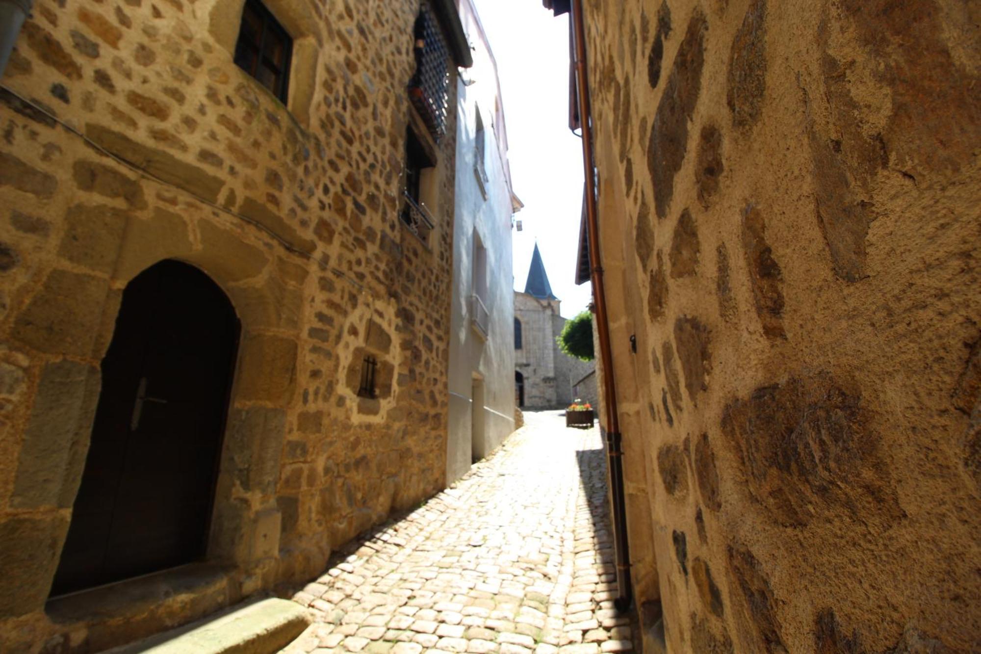Aurec-Sur-LoireZenlife公寓 外观 照片